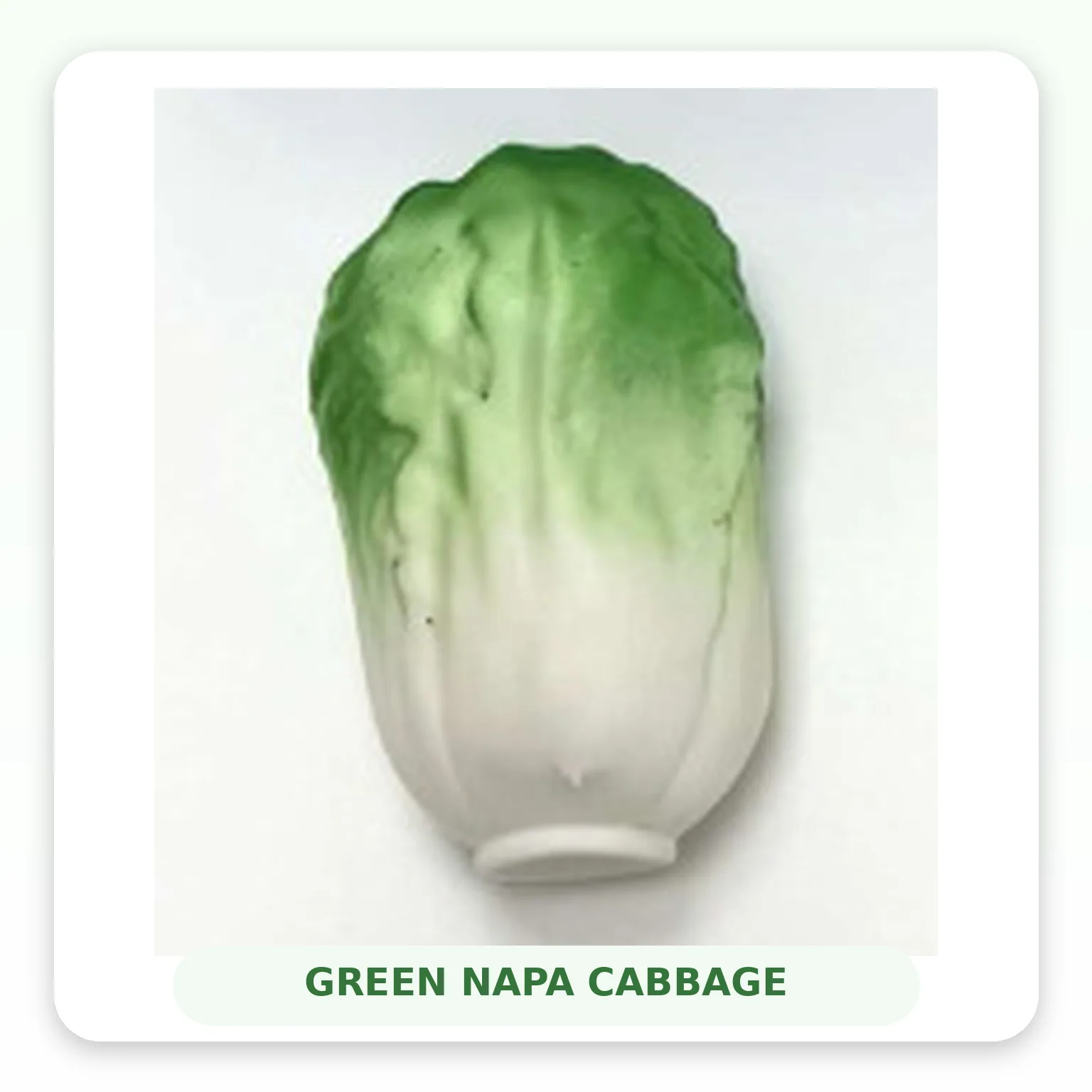 Napa Cabbage Crispy Squishy Toy Soft TPR Slow Rebound Stress Relief Toy Wholesale Squishy Toy 2