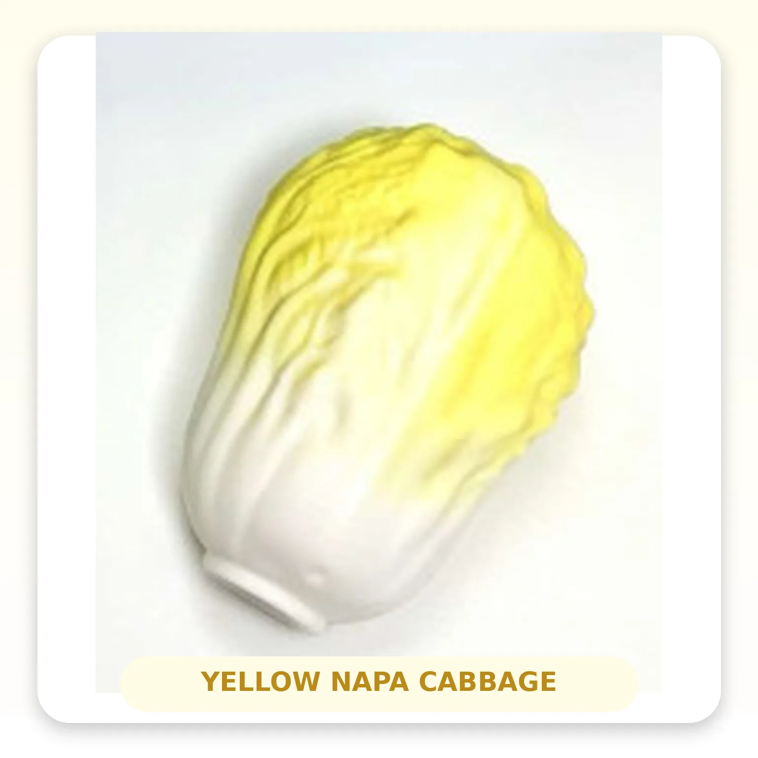Napa Cabbage Crispy Squishy Toy Soft TPR Slow Rebound Stress Relief Toy Wholesale Squishy Toy 3